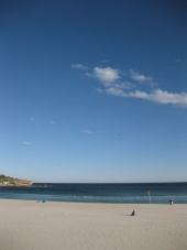 Bondi Beach